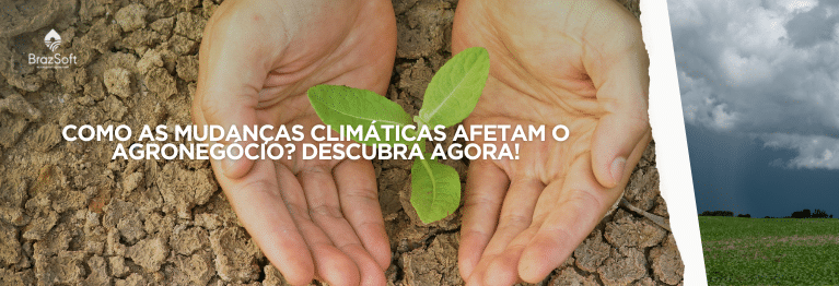 Mão de um produtor rural protegendo uma planta nascendo em tempo de seca