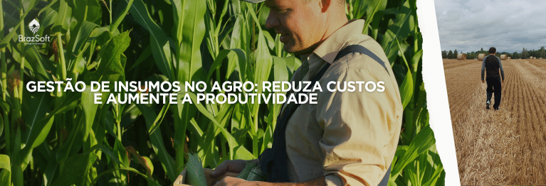Produtor rural analisando a produção da lavoura de milho