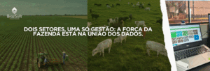 Divided image showing a soybean field on the left and cattle grazing on the right, illustrating the integrated management of crops and livestock on a Brazilian farm.