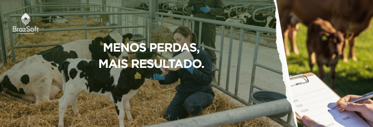 Com manejo padronizado e uso de dados, fazendas reduzem a mortalidade de bezerras para níveis de excelência.