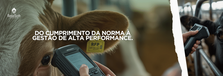 Pecuarista utilizando scanner de rastreabilidade animal para gestão de rebanho e controle sanitário.