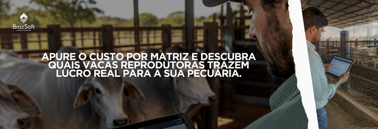 Produtor rural verificando informações de brinco eletrônico e custo por matriz em tablet.